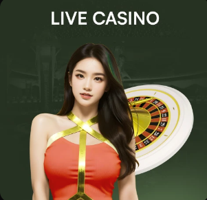 德容恩：拜仁是热门，他们很谦逊，凯恩甚至到过边卫位置防守